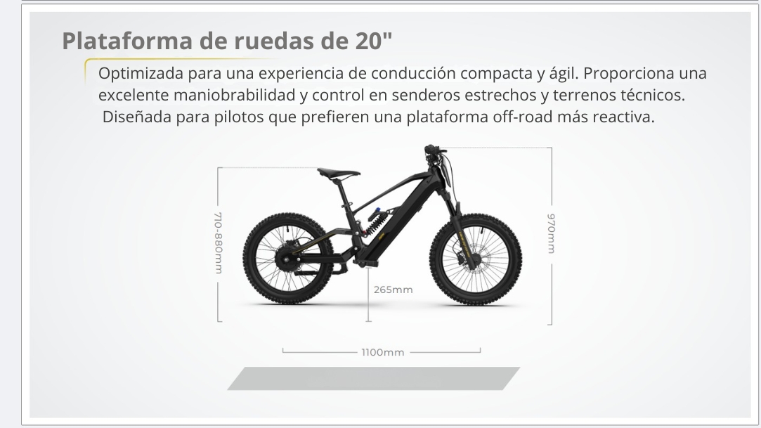 Características Bicicleta eléctrica RFN ZIP 20